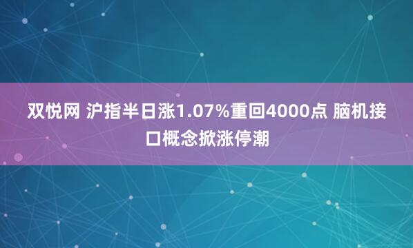 双悦网 沪指半日涨1.07%重回4000点 脑机接口概念掀涨停潮